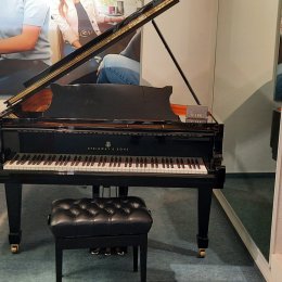 Steinway & Sons A-188     BJ 1980 ! von 1980 in Zwart glimmend