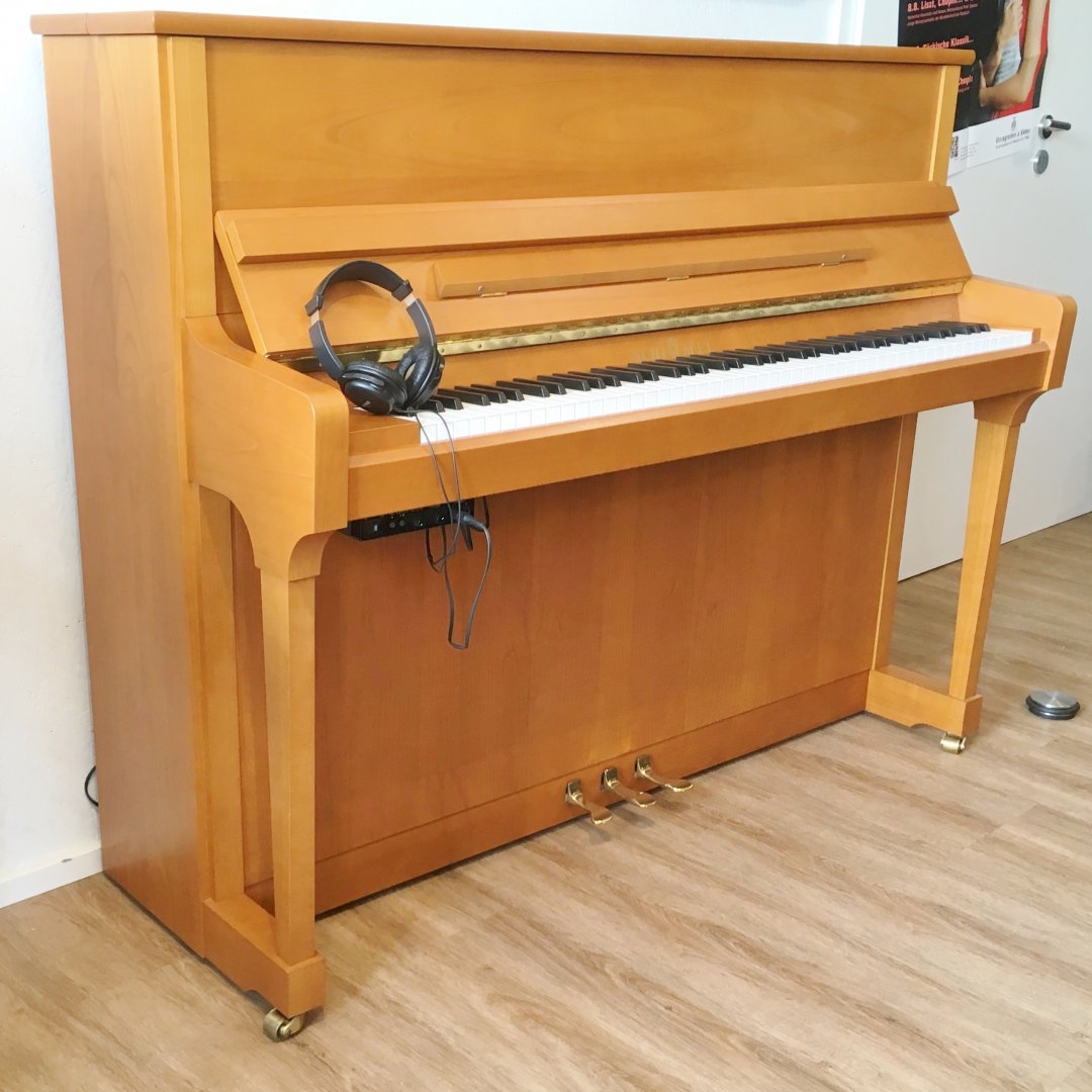 Schimmel 120T Moontime (Silent) von 2010 in Kersen mat