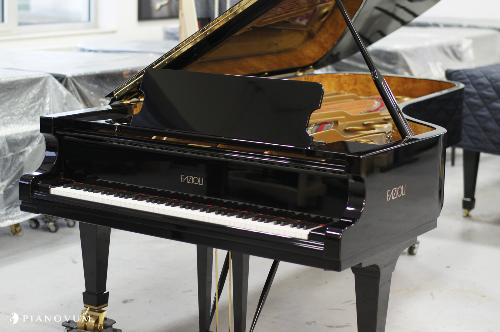 Fazioli F278 von 2006 in Zwart glimmend