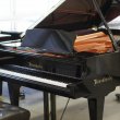 Bösendorfer 225 von 2016 in Zwart glimmend
