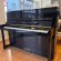 Schimmel 116 Dunkelblau poliert von 1998 in Speciale cleur glimmend