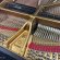 Steinway & Sons B-211 von 1996 in Zwart glimmend