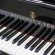 Steinway & Sons D-274 von 2013 in Zwart glimmend