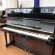 Steinway & Sons V-125 von 2014 in Zwart glimmend