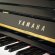 Yamaha U2 von 1974 in Zwart glimmend