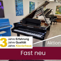 - Andere Marke - GS87 von 2015 in Zwart glimmend