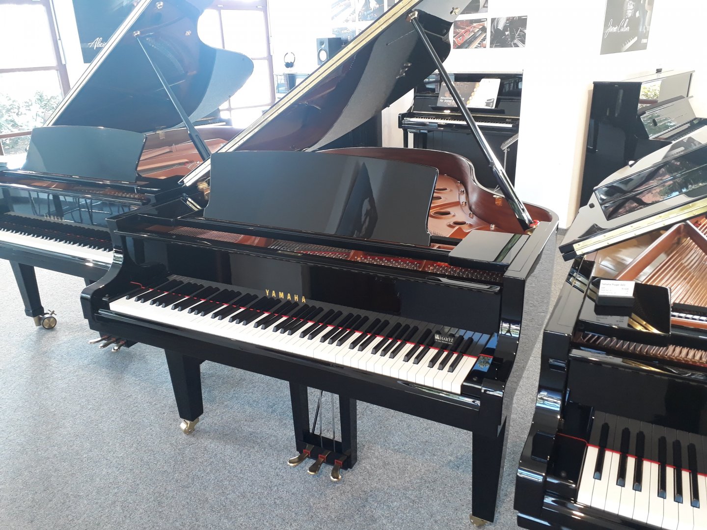 Yamaha C3X von 2019 in Zwart glimmend