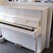 - Andere Marke - Feigel F120 von 2006 in Wit glimmend