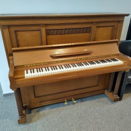 Feurich 133 von 1920 in Eiken mat