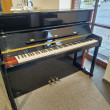 Schimmel 120 TN Delorko von 1994 in Zwart glimmend