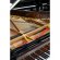 Steinway & Sons A-188 von 1894 in Wortelnoten glimmend
