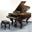Steinway & Sons B-211 von 1873 in Palisander glimmend