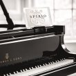 Steinway & Sons B-211 Spirio von 2021 in Zwart glimmend