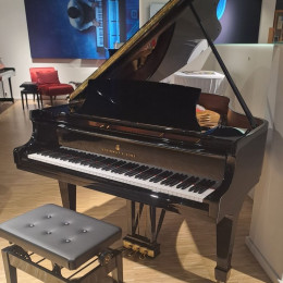 Steinway & Sons MT-170 von 2010 in Zwart mat