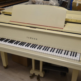 Yamaha G1 von 1970 in Wit glimmend
