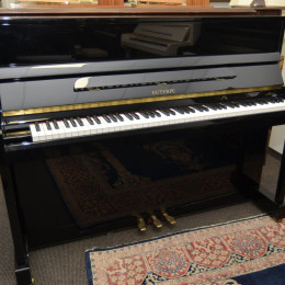 Euterpe EU-112 von 2007 in Zwart glimmend