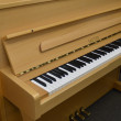 Sauter Sondermodell 114 von 1998 in Beuken mat